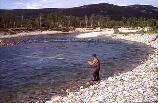 Flyfisher in Börsälv as elegant puts his fly over the Salmon photo Per Brännström