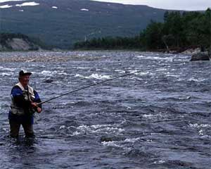 foto Allan Klo Bilden är från där Repparfjordelva delar sig med Skaidelva, en kvinnlig flugfiskare i full aktion.