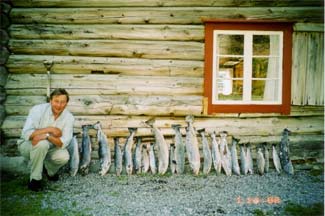 Foto: Jacqueline Taylor-Oates Sverres totala havsöringsfångst en augusti vecka 2003.