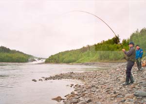 Fishermen with Målselva salmon on the hook