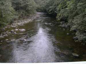 Photo of Grotte about 7 km upstream from the mouth, here are ordinary fishing license. Photo: Wojtech Sargalski