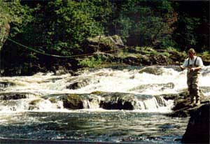 foto Anita Katila. Rolle lägger ut flugan i en av forsarna i Enningsdalselva.