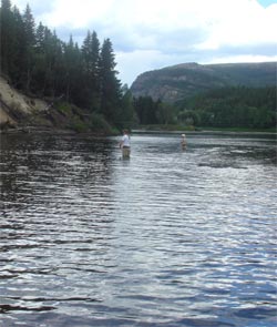 Fly fishing in beautiful environment