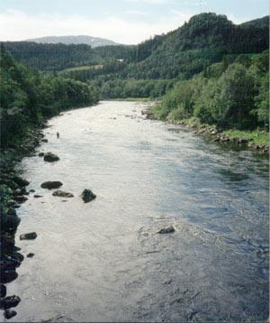 Bild från sträckan nedanför Swingen, ligger mellan Meldal och Storås