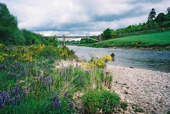 Bild från Bridge run park, river Dee. Foto: