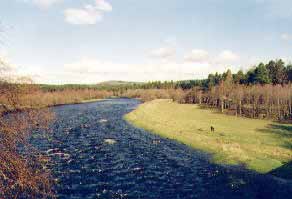 Fiskelandet Skottland