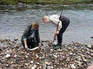 Laxfångst från Stochan pool i upper brora Foto: Tomas Almer