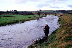 Laxfångst från Dalreavosh, River Brora. Foto: Tomas Almer