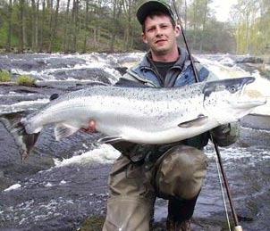 Markus Zimmer, Mörrum ständigt med tidiga storlaxar, vikt 15,1 kg tagen i pool 12, 04-05-02. Foto Kronolaxfisket.