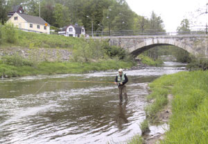 Flugfiskare som provar sträckan vid Kvistrum. Foto: Örekils fiskevård.