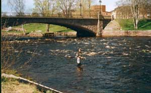 En bild från sträckan vid gammelstens bron