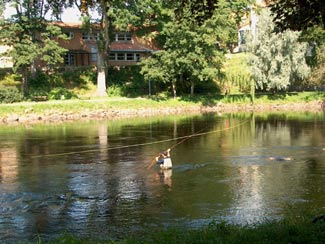 Flyfisher in the hunt for the hot Ätran salmon. Photo: Randolph Stenlund.