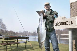 Peter Atteson med  Lagan lax. foto: Fredrik Magnusson