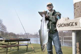 Peter Atteson med Aprillax som jag tog på spinnfluga i Lagan den 21/4-04. Laxen vägde 9,2 kg och var 95 cm lång. Foto: Fredrik Magnusson.