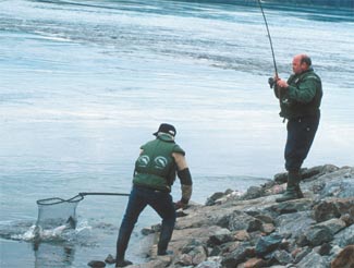 It lifted the salmon in zone 2. Photo: Jonas Sahlin.