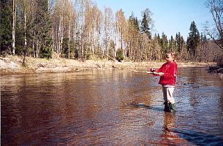 Kontinuerlig utsättning av öring och regnbåge i ån.