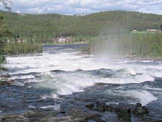 Bild överStorforsen, ca. 90 km uppströms mynningen. Varjisån rinner in i Pite älv vid foten av Storforsen.