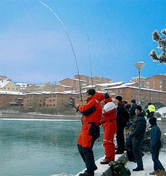 Här drillas fisk efter Norrköpings kajer.