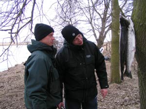 Jonas and Joakim studying the days catch at Helgeå. Photo Michael Sportfiske Corner