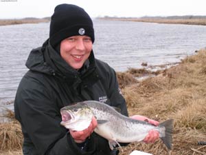 Jonas and Joakim studying the day's catch at Helgeå. Photo Michael Sportfiske Corner