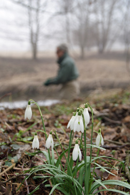 spring fishing