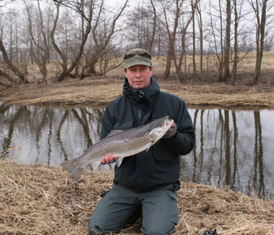 Öring tagen i Nybroån, 2011-0313 vikt 3,8kg längd 70cm.