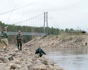 Sten drillar en av många havsöringar (3,4 kg) som blivit tagna på Rabben. Apil 2003. Foto: Robban