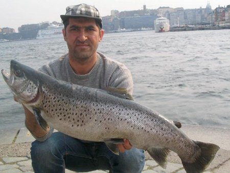 Large trout took the kurdish-eagle fly. weight 8.02 kg caught in May of Baki Turhan