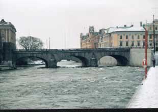 Här pågår fisket runt riksstadshuset. Foto: Per Edlund