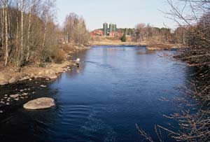 Åbyälv middle of the village, Mats Johansson tempt the salmon on the neck.