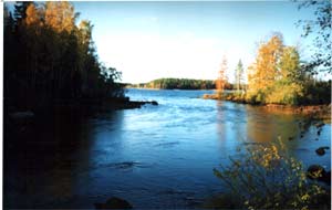 Utloppet Buresjön. Lågvatten.