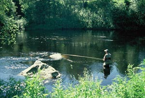 With a roll diagonally upstream followed by a powerful downstream mended, deliver a good speed on the fly and tend to attract the occasional salmon, even in sunlight. Photo: Sten Larsson