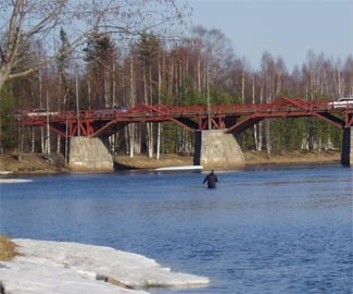 Flugfiskare provar lyckan strax ovanför bron.