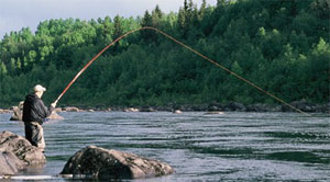 Mikael Lindström in full fight with sea trout.