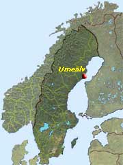 Här ligger Umeåälven
