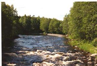 Persforsen i Kågeälv.
