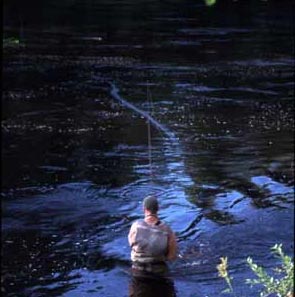 Där ute i Vindels djuphålor stor de stora laxarna, Micke provar att fresta med sina flugor.