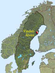 Här ca 2,5 mil väst om Umeå i Vännes mynnar Vindelälven ut.