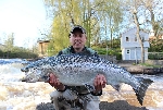 20120506 Peter Nilsson Lax 13,08 kg fluga