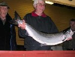 Klas Duver från Tyskland, med Mörrums lax. Vikt 11, 7kg. Togs på nya sträckan, Vittskövle.