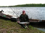 Laxar tagna i Lovikka 30/6 5,5 kg 2/7-05 4,5 kg