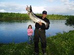 Lax tagen av Bror Eriksson Neitigården fiskecamp Lainio. Den vägde 12,42 kg och 109 cm lång tagen på wobbler midsomardagen 2005.
