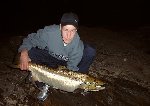 Insjölax 8,6kg från klarälven, c&r. / Ivan