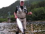 En vacker lax tagen vecka 26 i Gaula 6,2 kg av Berndt Forsberg Foto Christian Wedebrant
