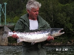 En fin lax fångad av Stefan Sandelin vecka 26 i Gaula vikt 7,6 kg. Foto Christian Wedebrant.