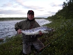 Fin lainiolax från 26:e juni
