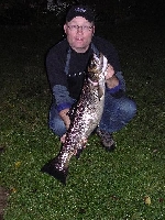 Höstöring från Forshaga 2005 i September
6,2kg tagen på fluga av Michael Jonsson