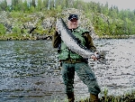 21 juni, lax från Lainioälven på 9,6 kg