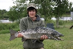 Hade två dagars rikitgt trevligt fiske i forshagaforsen den 27-28/6. Det resulterade i tre fiskar. Den andra:
En lax på 7,6 kg