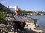 lilla edet 2005 härlig figth.
vägde 12,4 kg